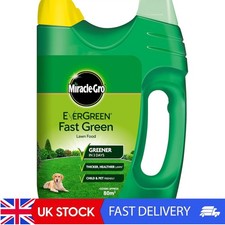 EverGreen Lawn Food & Spreader Kit - Rapid Greening, 80 m2, Safe for Kids & Pets