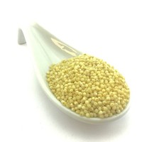 0.5Kg Bio Hirse (Ganz) 0 0