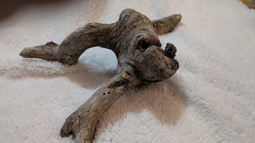 Sterilized Natural Driftwood 16" Gnarled Wood Aquarium Terrarium Reptile Decor