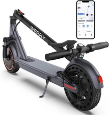 WERHY H9 10 INCH WHEEL 500W Seated Electric Scoote GRAY