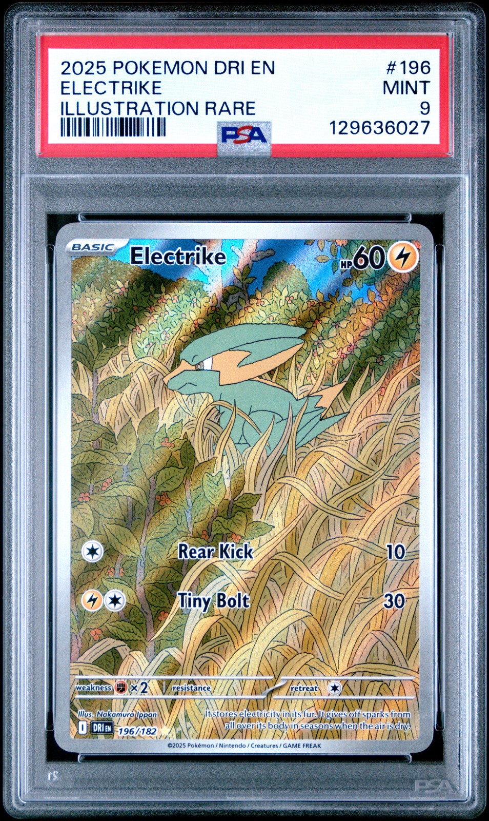 Electrike #196