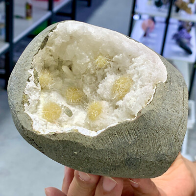 1.85LB Rare iron ore Phosphorus Magnesium Mine Crystal Healing Specimen