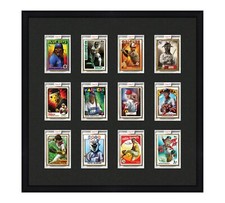 Card Frame Display twelve openings to fit P70, Project 2020 or Project 100 Slabs