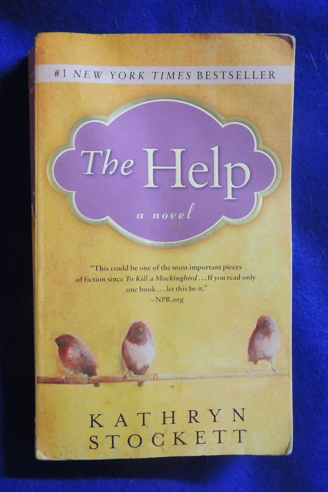 The Help by Kathryn Stockett (2009 Trade Paperback)