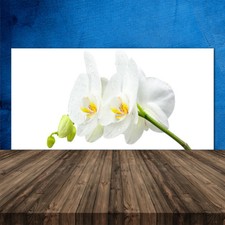 Kitchen Splashback 120x60 Tempered Glass Flowers Floral