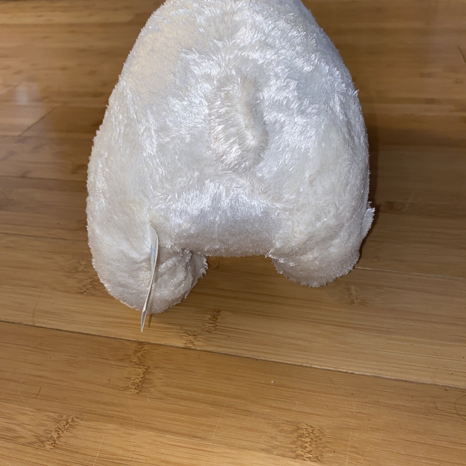 Picture 5 of 5