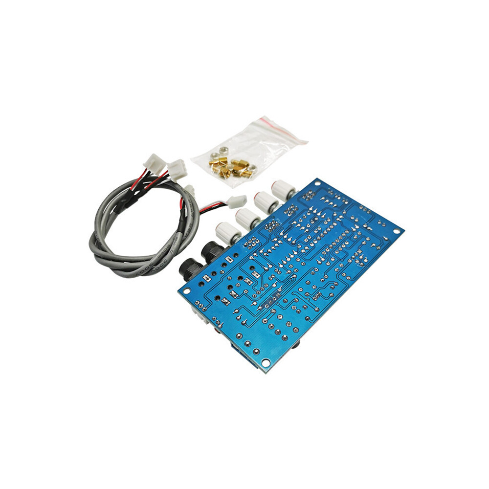 Scheda Amplificatore Con Riverbero PT2399 – Doppio Microfono, Alimentazione AC12V Per Karaoke