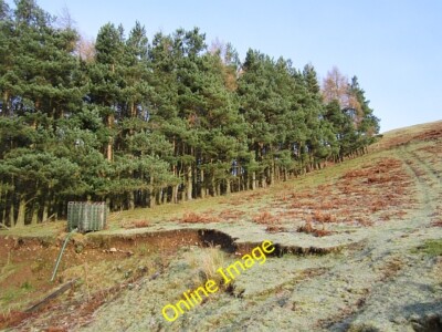Photo 6x4 Wood beside Hen Slack Sourhope A small conifer block on the nor c2012