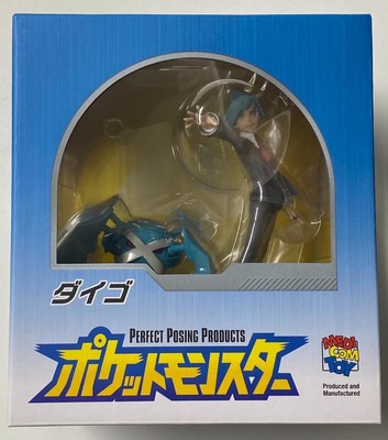 Ppp Daigo Pokemon Medicom Toy | eBay