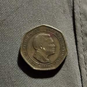 Tanzania 50 Shilingi Coin 1996 Rhino Rhinoceros Design Uncertified BN Color