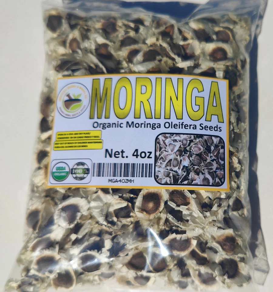 Moringa, Moringa Orgânica Oleifera, Sementes de Moringa Premium, Semillas de Moringa 4oz - Imagem 4 de 4