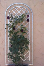 Trellis Trellis Climbing Aid Wall Grid Provence XXL Fire Galvanised Rambler Rose