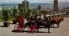 Canada Quebec Montreal Mount Royal French Horse Drawn Carriages Postcard Spc10