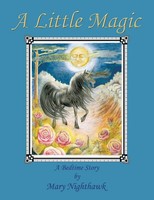 Mary Nighthawk | A Little Magic | Taschenbuch | Englisch (2017) | Xlibris