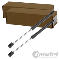 2X NTY Gasfedern MOTORHAUBEN-LIFTER Passend FüR BMW X5 X6 Links+Rechts |