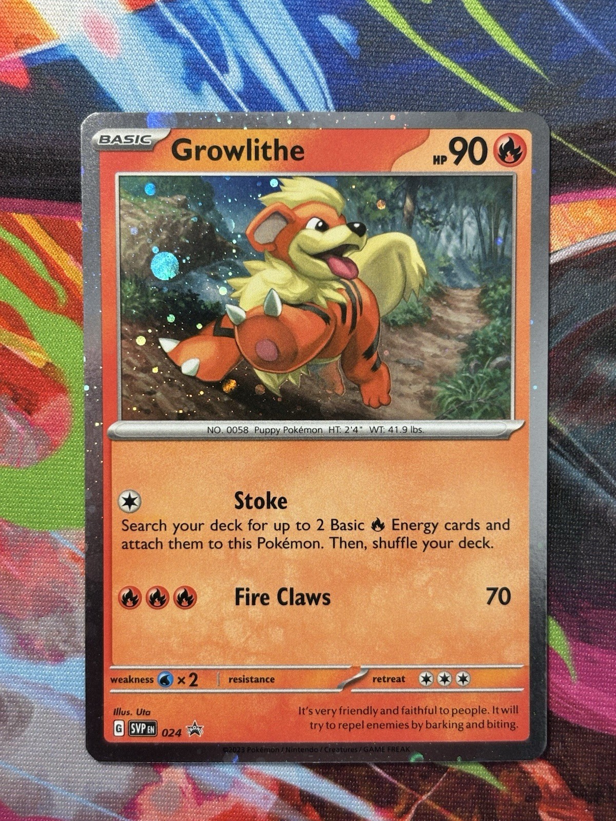 Growlithe Pokemon Scarlet & Violet SVP 024 Cosmos Holo Black Star Promo NM