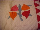 Bild 9 von 12