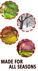 Bild 7 von 10