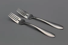Modern Cambridge Stainless Flatware EVANSTON Salad Forks Outlined Set of 2