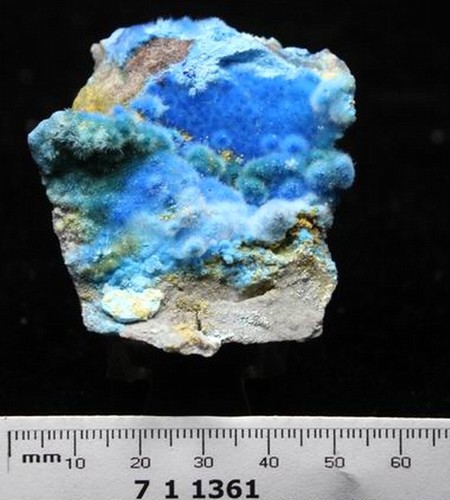 Espécimen mineral de cianotricita peludo azul vivo AAA CHINA CM711361 - Imagen 5 de 5