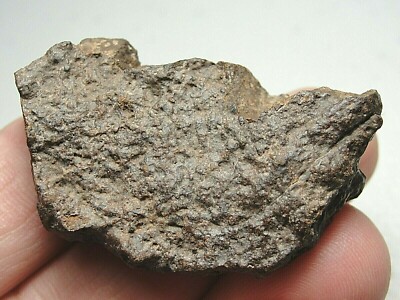 NWA 13378 Official Meteorite H5-S3-W2 Chondrite - G728-0009