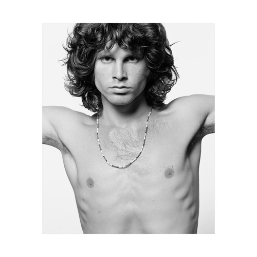 Jim Morrison Poster The Doors Rock Star 1970s Rock-n-Roll Legend Sexy Male Nude - Picture 3 of 29