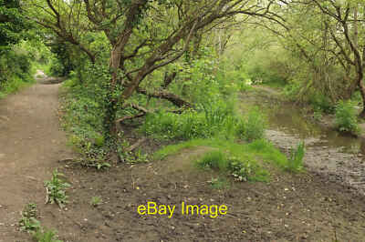 Photo 12x8 Coast path near Harbour Cove Padstow Joined briefly by a stream c2021
