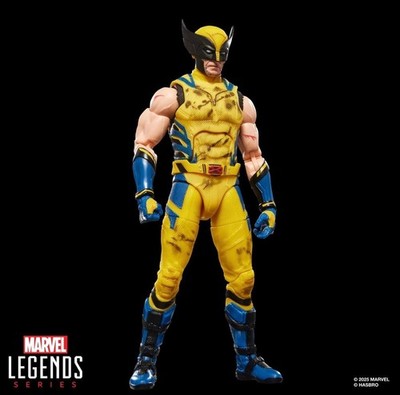 BRAND NEW Hasbro Marvel Legends Series Deadpool & Wolverine 6