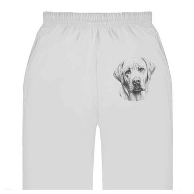 Jogginghose / Jogginghose ''Labrador Retriever Dog Portrait'' für Erwachsene (JO056278)