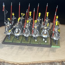 Warhammer Fantasy Empire Mountain Knights X 12 With Full Command Painted