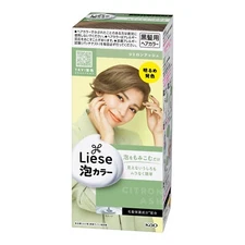 Kao LIESE Soft Creamy Bubble Foam Hair Color Prettia Dying Kit #30 - Citron Ash