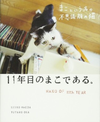 Die geheimnisvolle Katze namens Mako 11th Year Special