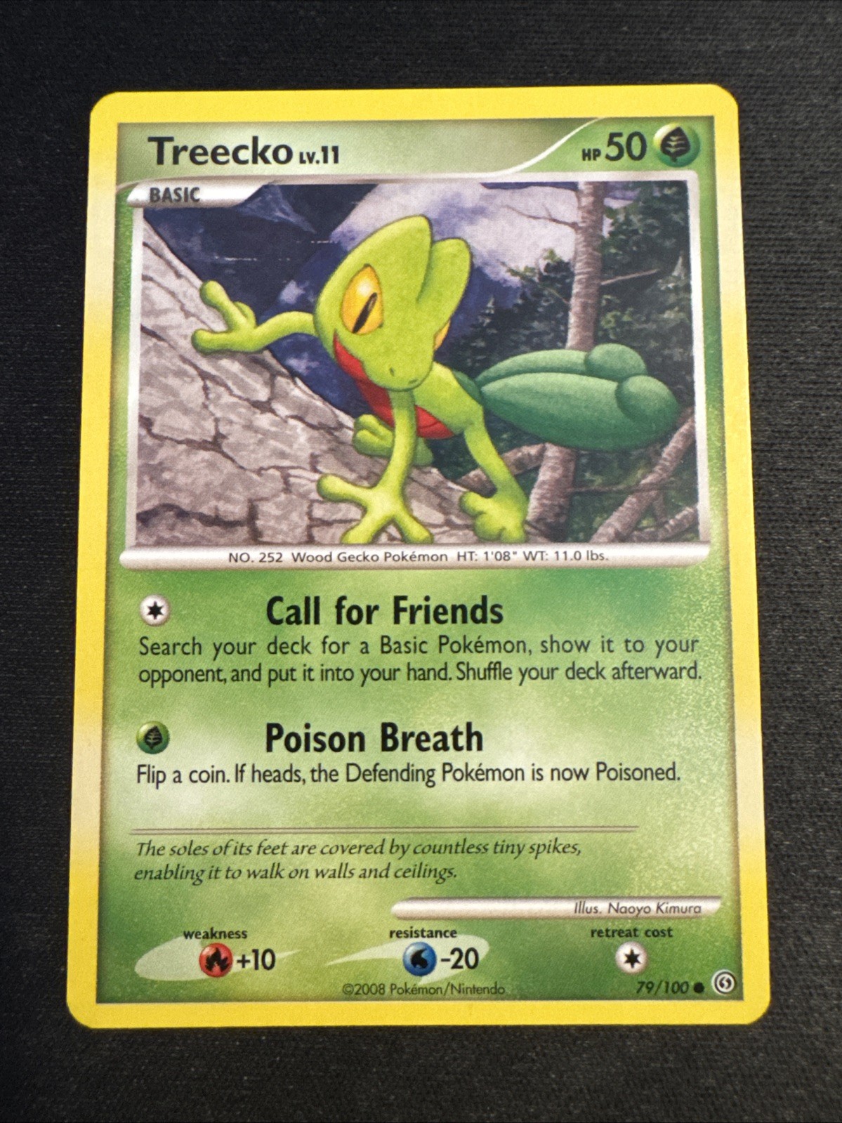 Treecko 79/100 - Stormfront - Pokemon Card