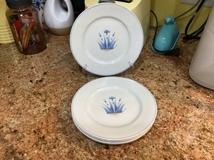 Anne Grenade Limoges-France Porcelain Salad/Dessert Plates Set of 5