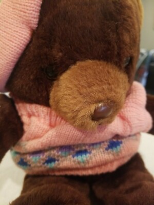 Teddy Bear Plush Large 10
