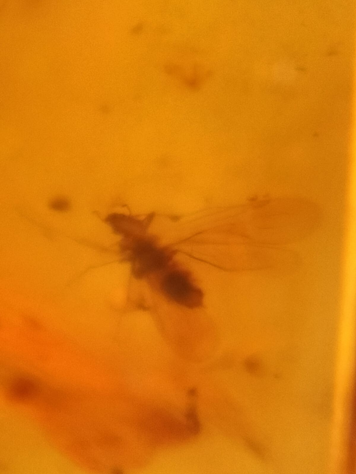 Picture 18 of 19