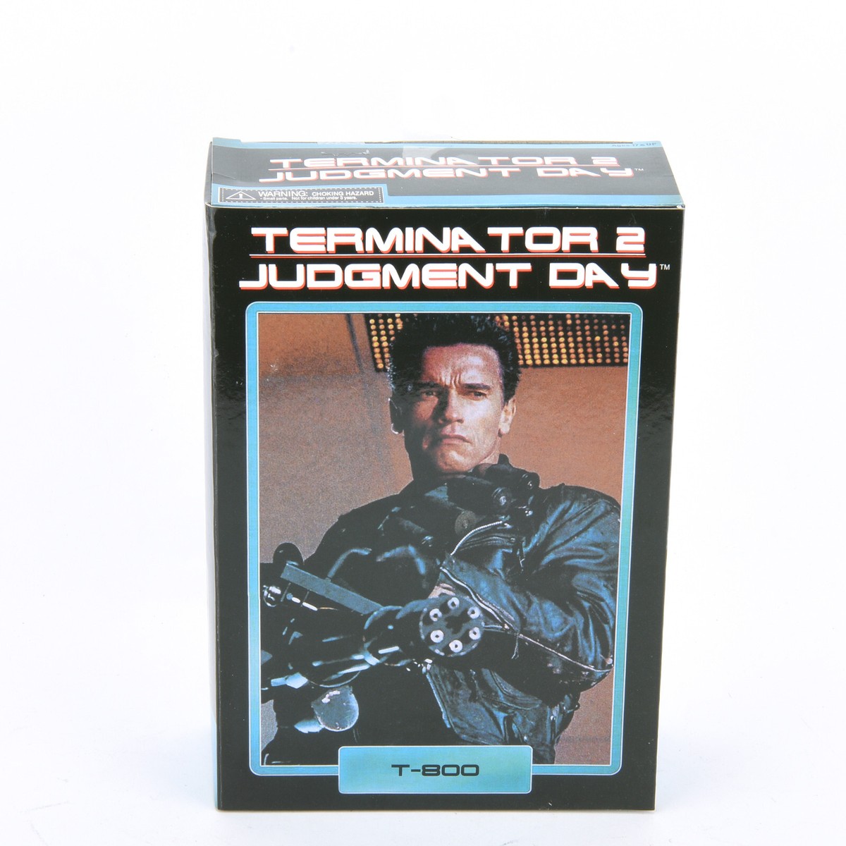 The Terminator 2 Judgment Day Arnold Schwarzenegger T-800