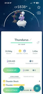   Shiny Thundurus    P T C - 80k stardust  - Description