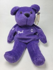 Paul Kariya Salvinos Bammers 9" Bean Bag Plush Bear NHL Anaheim Mighty Ducks 9