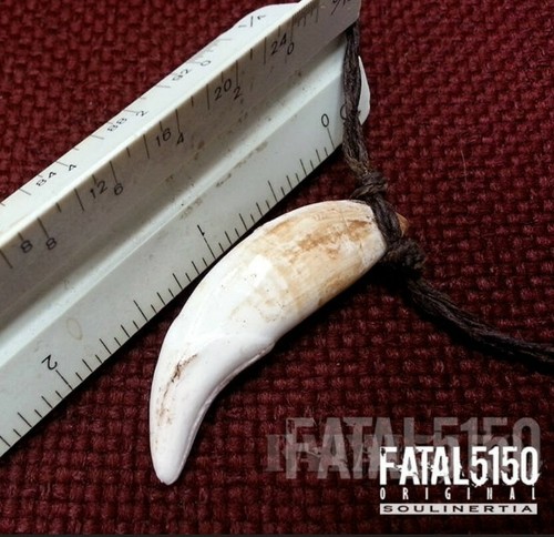Spartan Leonidas Largest Wolf Fang Necklace Pendant Cast in Resin (2"+ long!) - Picture 4 of 6