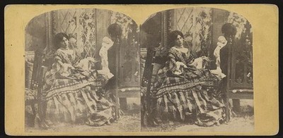 New York NY Miss Flora McFlimsey 1861-1866 Parlor Suitor Stereo Photo
