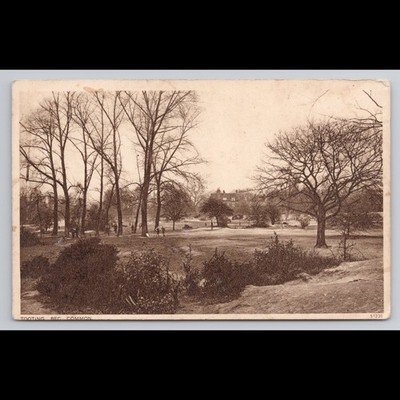 Vintage Postcard Tooting Bec Common London Unposted Scenic View Historic Rivers