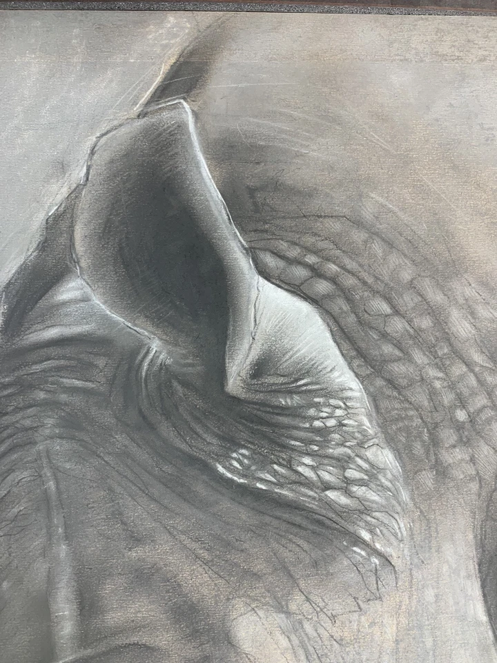 Rhino Charcoal ART Original Foto 3 de 4