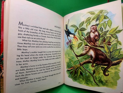 Vtg. "Wild Animals", A Rand McNally Book 1951 Vtg. Children's Hardcover - Imagen 9 de 14