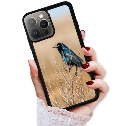 For iPhone SE XS XR Max 5 6 7 8 Plus Quiscalus boat tailed grackle Case Friendly - Picture 7 of 25