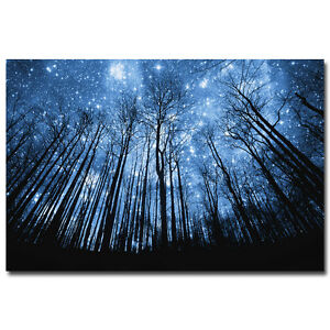 Night Of The Winter Forest Nature Silk Poster Galaxy Space Stars Nebula Ebay