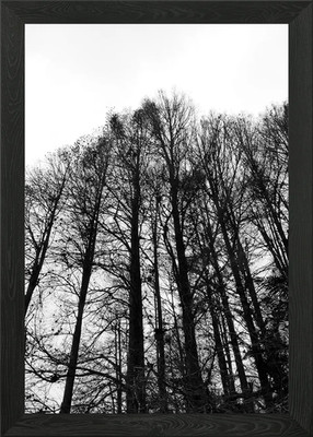 Black White Landscape E Framed Wall Art Poster Canvas Print Picture