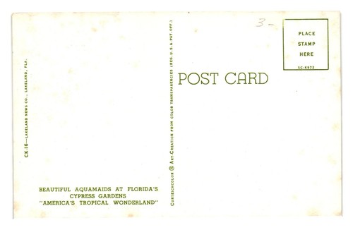 Vintage Postkarte Aquamaiden Zypressen Gärten Wasserski FL Tropisches Wunderland - Bild 2 von 2