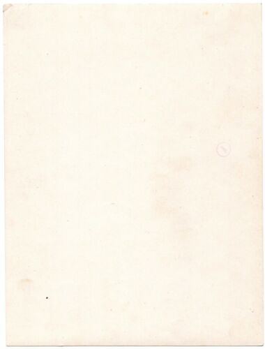 1890's? Alinari Nude Male photo Belvedere, Apollo, Vatican Museum, Silver print - Picture 3 of 3