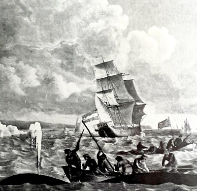 Whaling Ships Davis Straits 1926 Nautical Antique Print Whale Hunting DWW4B